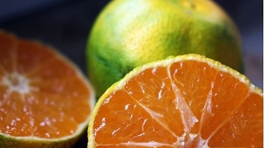 VOEDING EN GEZONDHEID
